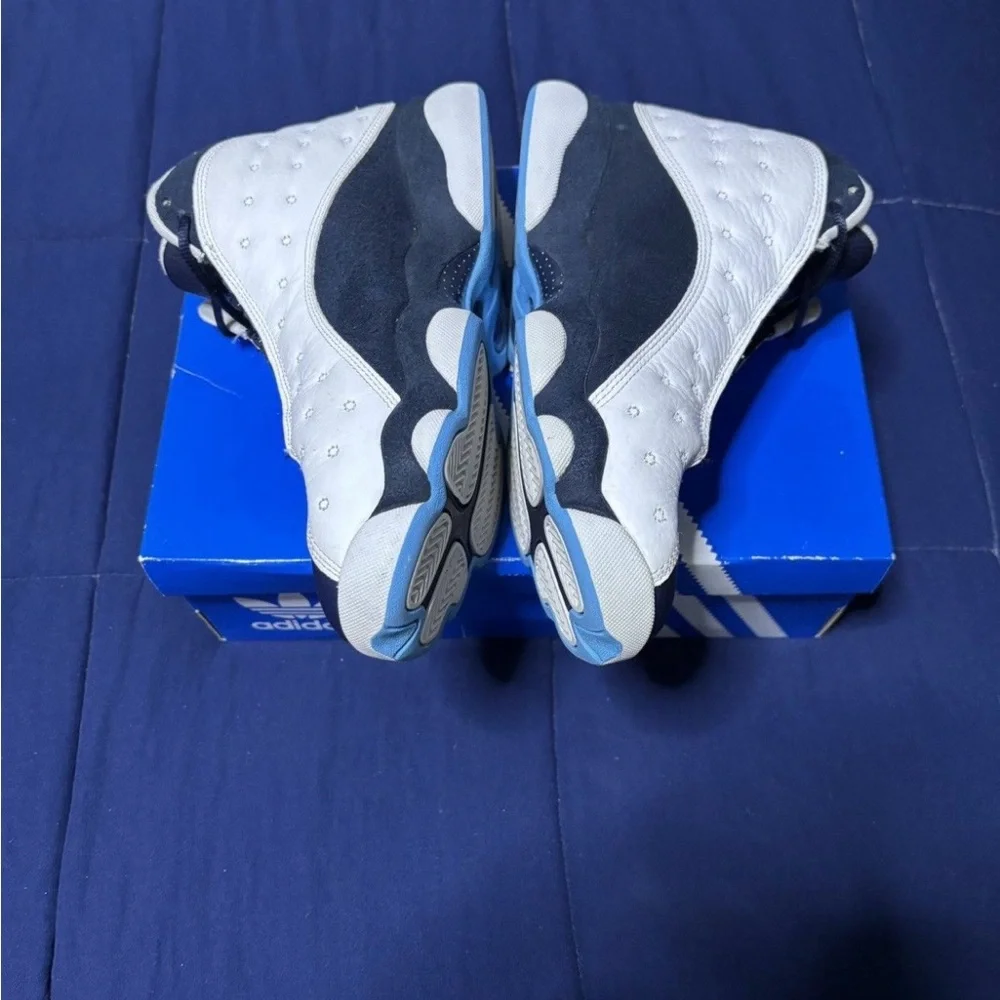 Jordan air 13